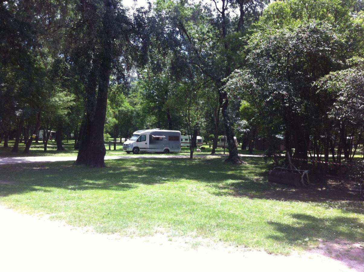 Camping Du Lion Bourg-Saint-Andéol المظهر الخارجي الصورة