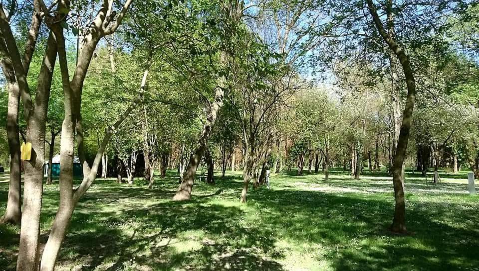 Camping Du Lion Bourg-Saint-Andéol المظهر الخارجي الصورة