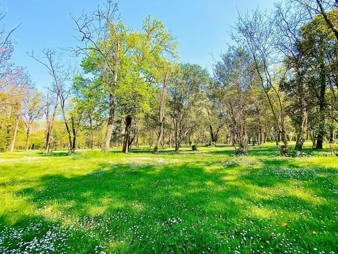Camping Du Lion Bourg-Saint-Andéol المظهر الخارجي الصورة